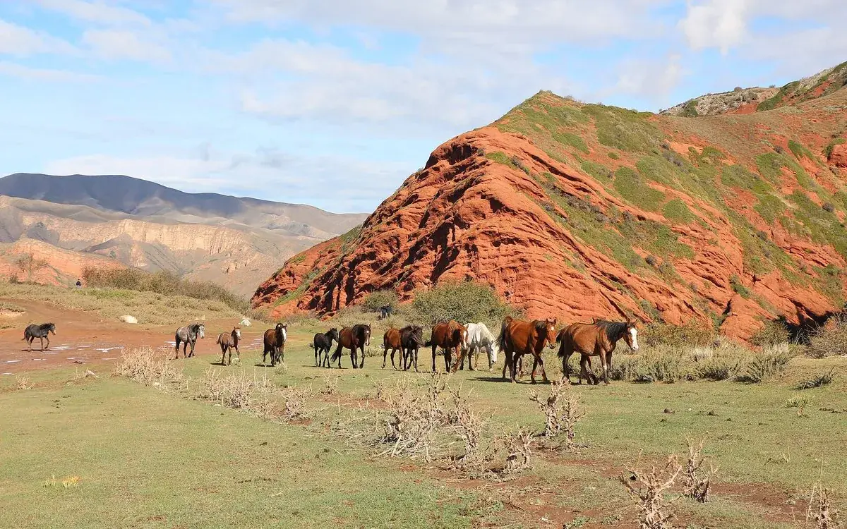 The red sandstone of Jeti-Oguz